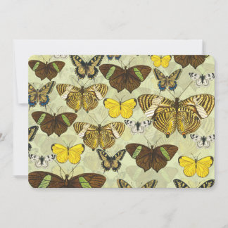 Vintage Butterfly Moth Chart Pattern