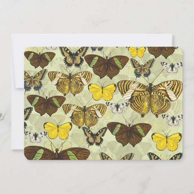 Vintage Butterfly Moth Chart Pattern (Front)