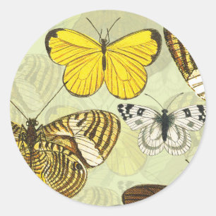 Vintage Butterfly Moth Chart Pattern Classic Round Sticker