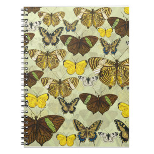 Vintage Butterfly Moth Chart Pattern Notebook