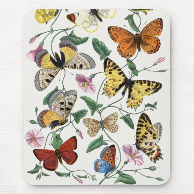 Vintage Butterfly & Moth Painting Mouse Pad (Front)