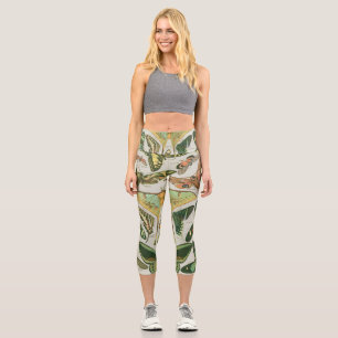 Vintage Butterfly Moth Pattern Print Capri Leggings