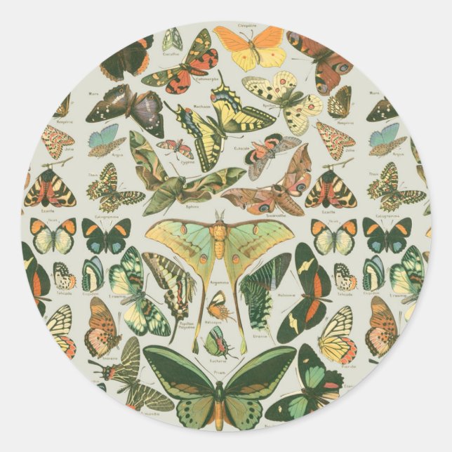 Vintage Butterfly Moth Pattern Print Classic Round Sticker (Front)