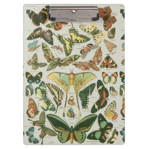 Vintage Butterfly Moth Pattern Print Clipboard