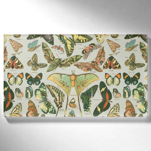 Vintage Butterfly Moth Pattern Print Name Tag