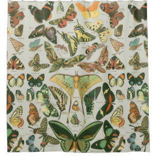 Vintage Butterfly Moth Pattern Print Shower Curtain