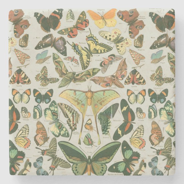 Vintage Butterfly Moth Pattern Print Stone Coaster (Front)