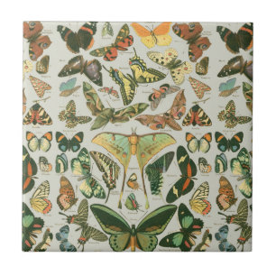 Vintage Butterfly Moth Pattern Print Tile