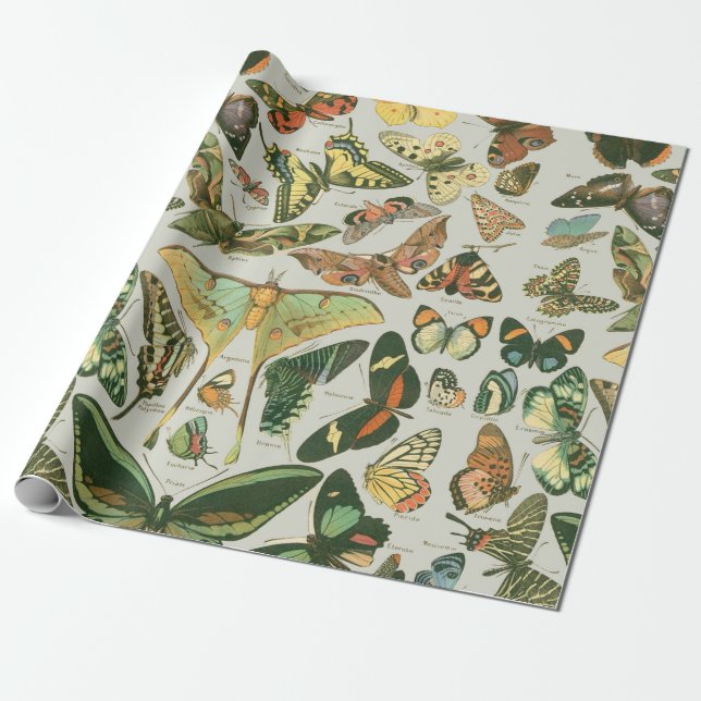 Vintage Butterfly Moth Pattern Print Wrapping Paper (Unrolled)