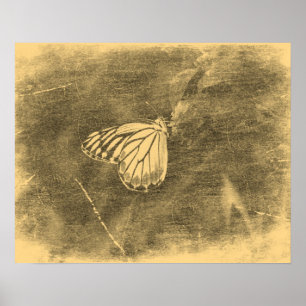 Vintage Butterfly on Flower #2 Posters