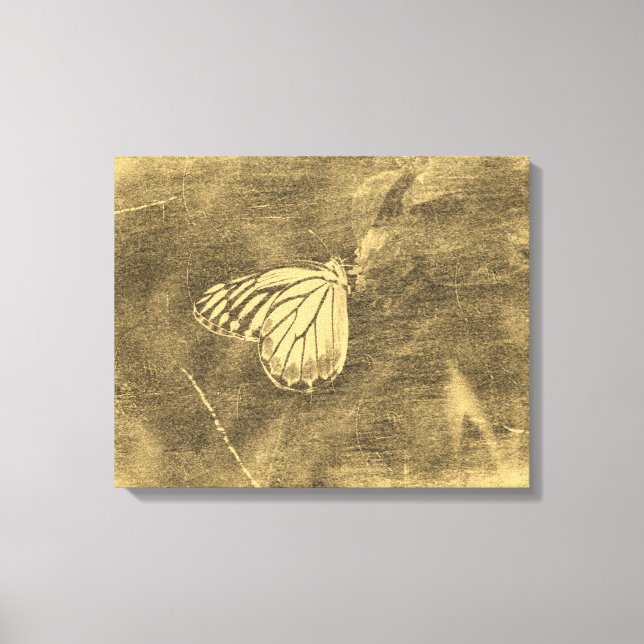 Vintage Butterfly on Flower #2 Wrapped canvas (Front)