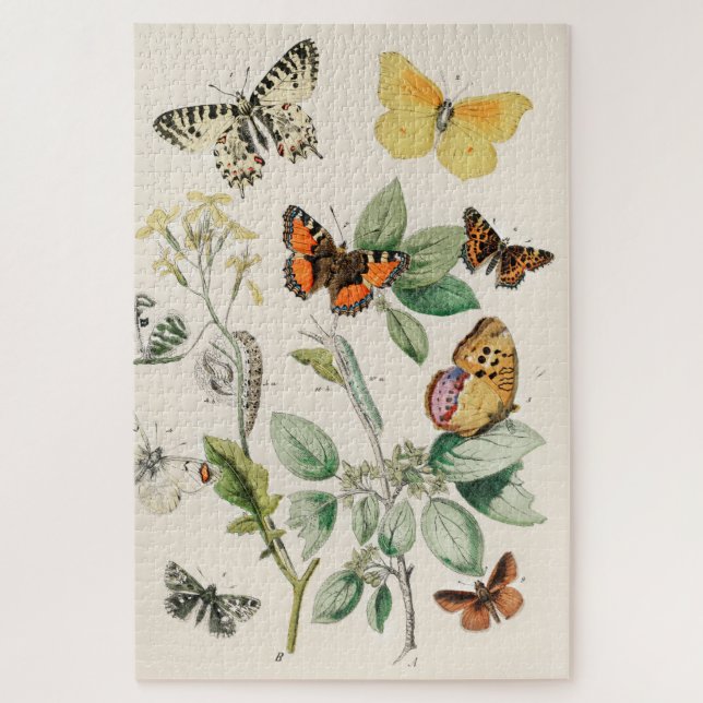 Vintage Butterfly Papillon Old Illustration Art Jigsaw Puzzle (Vertical)