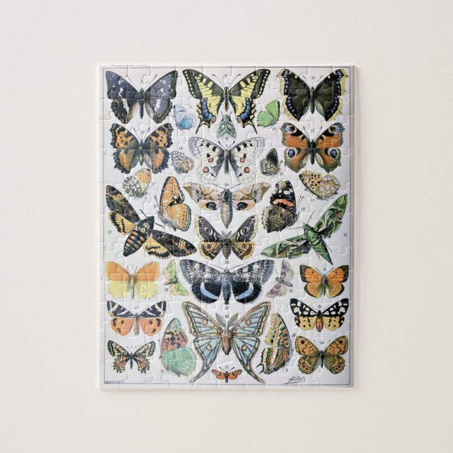 Vintage Butterfly Papillon Old Illustration Art Jigsaw Puzzle (Vertical)
