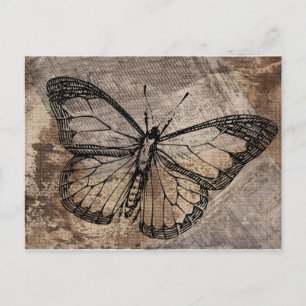 Vintage Butterfly Postcard