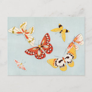 Vintage Butterfly Postcard
