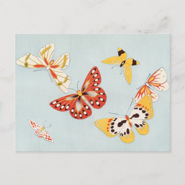 Vintage Butterfly Postcard (Front)