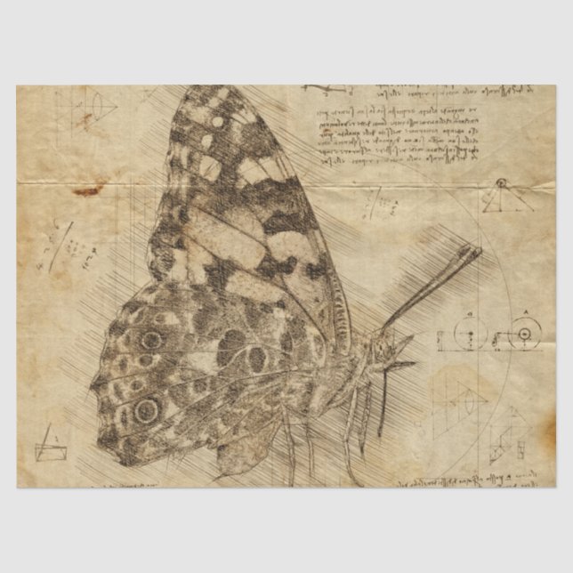 Vintage Butterfly | Rustic Style | Decoupage Tissue Paper (Front)