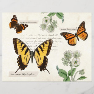 Vintage Butterfly Swallowtail Monarch Painted Lady