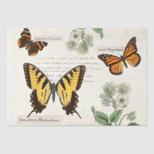 Vintage Butterfly Swallowtail Monarch Painted Lady Tissue Paper
