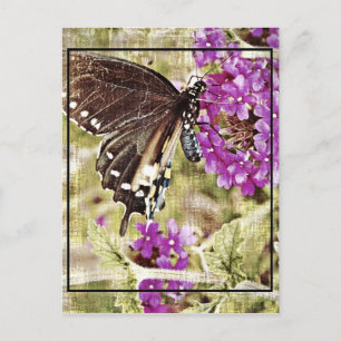 Vintage Butterfly with Flower Postcard