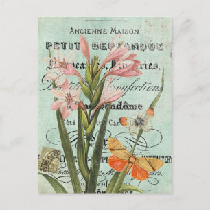 Vintage Butterfy and Lily postcard