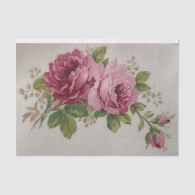 Vintage Cabbage Rose Elegance Tissue Paper (Front)