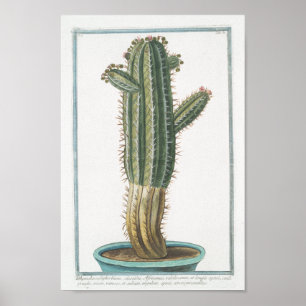 Vintage Cactus Botanical Poster Art (8" x 12")