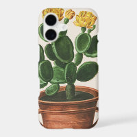 Vintage Cactus Flowers, Succulent Cacti Plants