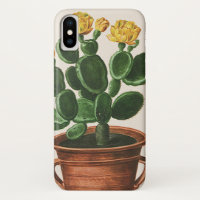 Vintage Cactus Flowers, Succulent Cacti Plants