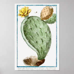 Vintage Cactus Illustration Poster