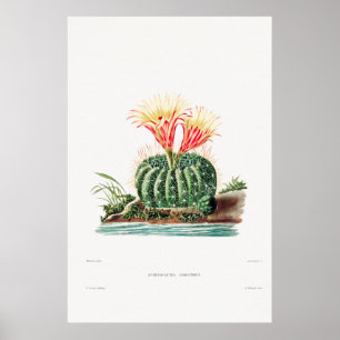 Vintage Cactus Illustration Poster