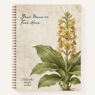 Vintage Calanthe Striata Botanical Fraud Notebook
