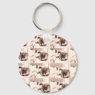 Vintage Calico Cat/Black and White Photography Key Ring