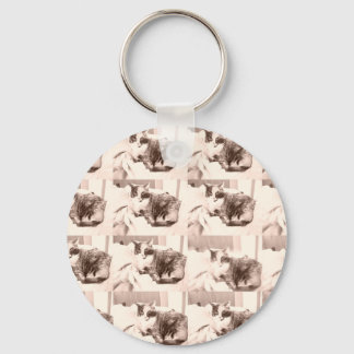 Vintage Calico Cat/Black and White Photography Key Ring