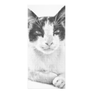 Vintage Calico Halftone Rack Card