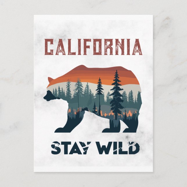 Vintage California Bear Stay Wild Travel Postcard (Front)