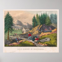 Vintage California Gold Rush Illustration (1871)