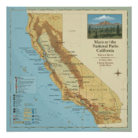 Vintage California National Parks Map Art