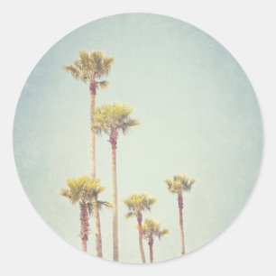 Vintage California Palm Trees Sticker
