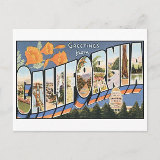 Vintage California Postcard