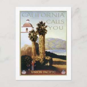 Vintage California, USA - Postcard