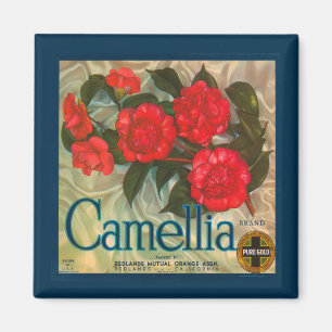 Vintage Camellia Brand Magnet