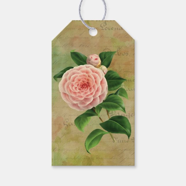 Vintage Camellia French Botanical Gift Tags (Front)