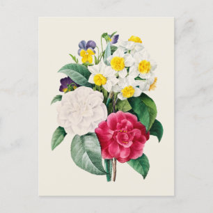 Vintage Camellia Narcissus and Pansy Flowers Postcard