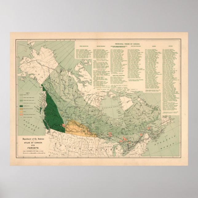 Vintage Canada Forests Map (1906) Poster (Front)