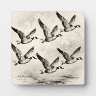 Vintage Canada Geese in Flight Engraving Plaque