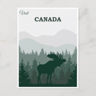 Vintage Canada Nature Moose Travel Postcard