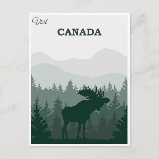 Vintage Canada Nature Moose Travel Postcard (Front)