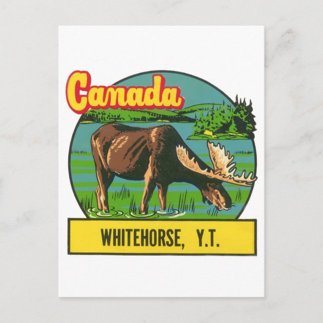 Vintage Canada Whitehorse Yukon Territory Postcard (Front)