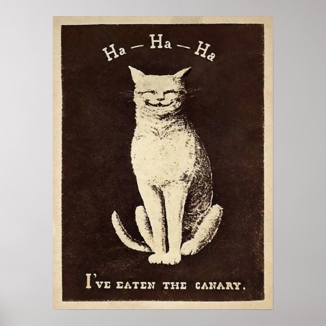 Vintage Canary Eating Cat Poster (Front)